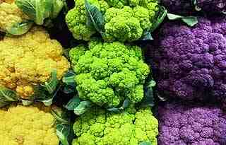 variedades de coliflor