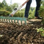 como-elegir-su-pala-para-el-jardin-y-el-huerto