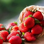 cultivo-mantenimiento-cosecha-y-beneficios-de-fresas