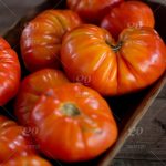 persiguiendo-tomates-de-foodies