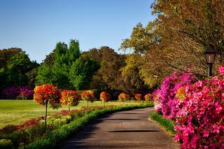 Tipos de jardines