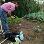 como-preparar-el-huerto-para-el-invierno