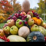 verduras-en-el-jardin-de-la-plaza-en-visperas-del-otono