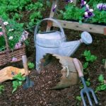 Consejos para principiantes en jardinería